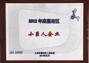 2012年度嘉定區(qū)小巨人企業(yè)